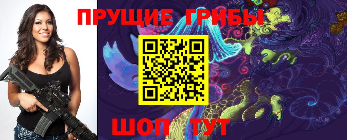 как найти закладки  Псилоцибиновые грибы мухоморы  Вход с VPN  Горно-Алтайск  Псилоцибиновые грибы Psilocybe 