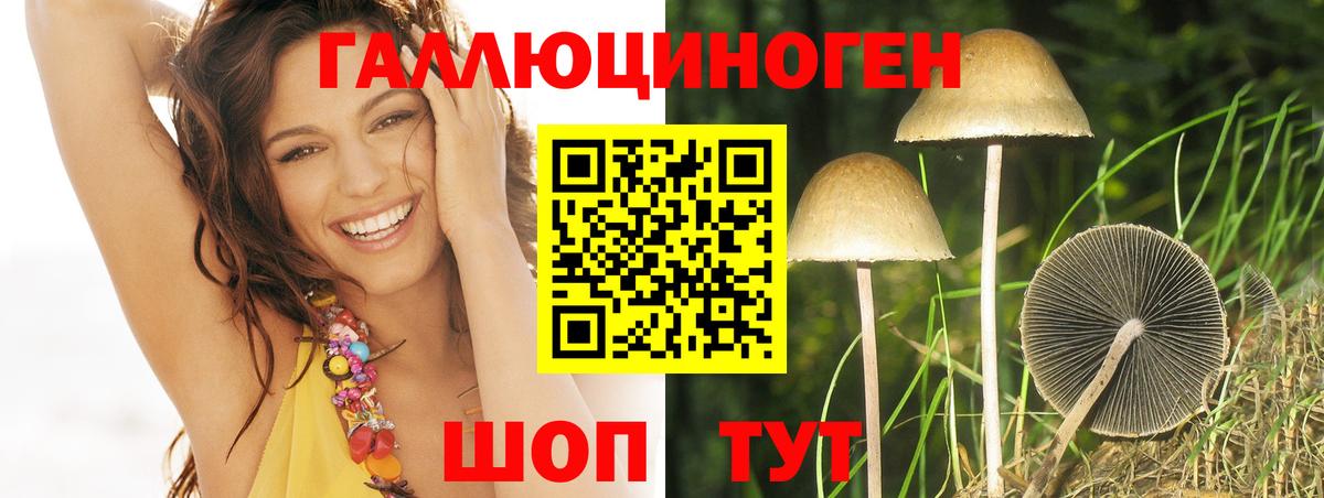 Галлюциногенные грибы Cubensis Горно-Алтайск